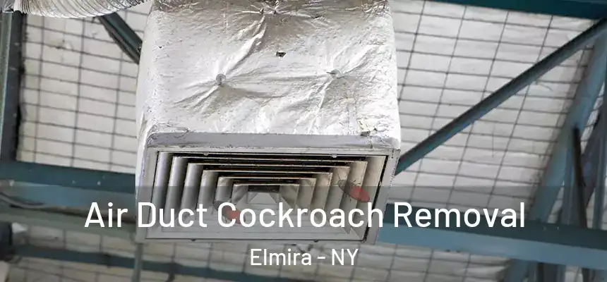 Air Duct Cockroach Removal Elmira - NY