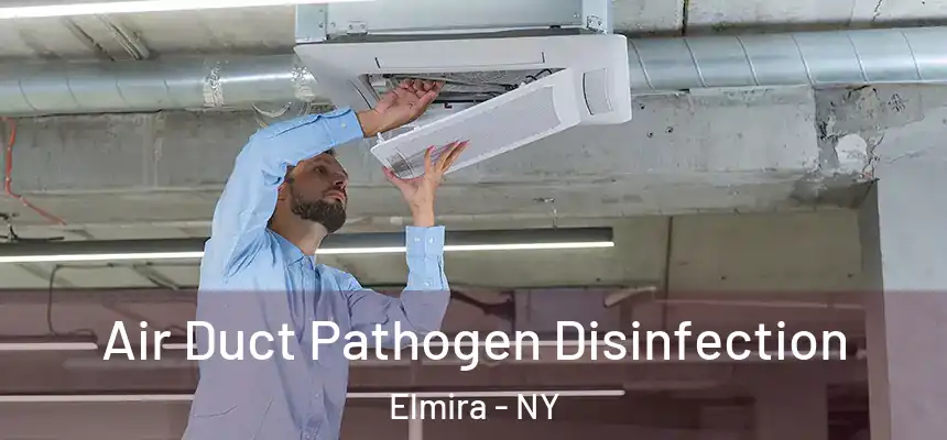 Air Duct Pathogen Disinfection Elmira - NY