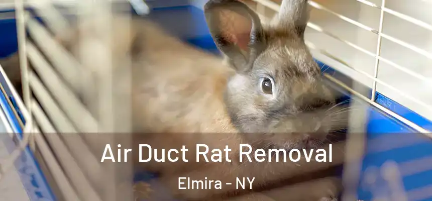  Air Duct Rat Removal Elmira - NY