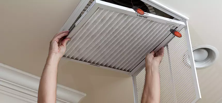 Preventive Cockroach-Proofing for Ducts in Elmira
