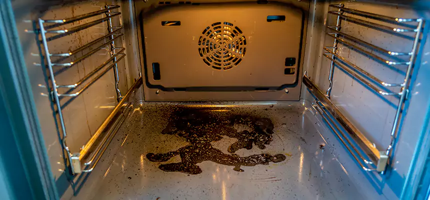 Our Dryer Vent Mold Cleaning Services in Elmira, NY