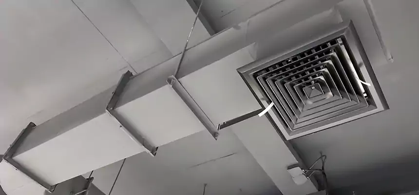 Our Pest Removal From Ducts Services in Elmira, NY