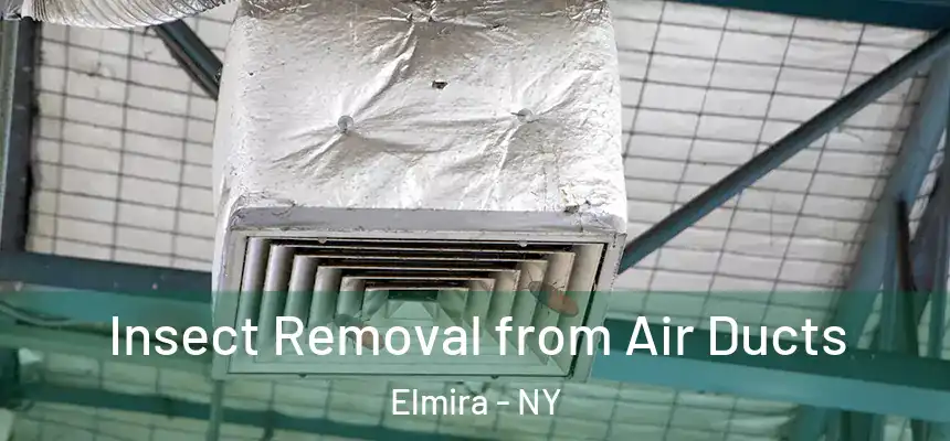 Insect Removal from Air Ducts Elmira - NY