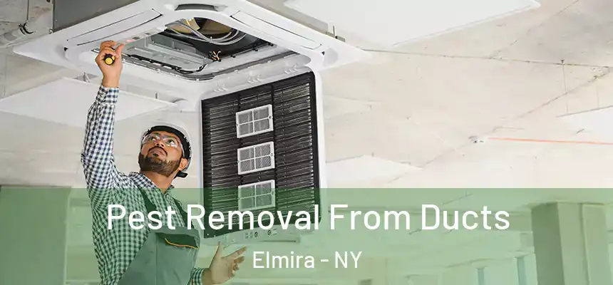  Pest Removal From Ducts Elmira - NY