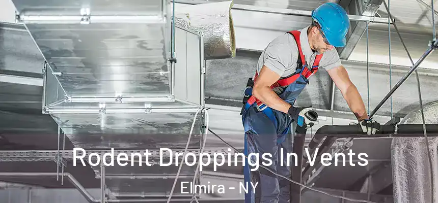 Rodent Droppings In Vents Elmira - NY