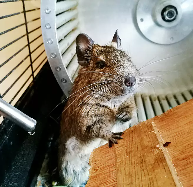 Why Homeowners & Businesses Trust Us Elmira, NY