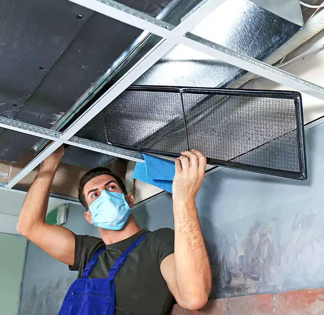 Why Homeowners Businesses Trust Us in Elmira, NY