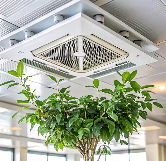 Why Homeowners & Businesses Trust Us in Elmira, NY